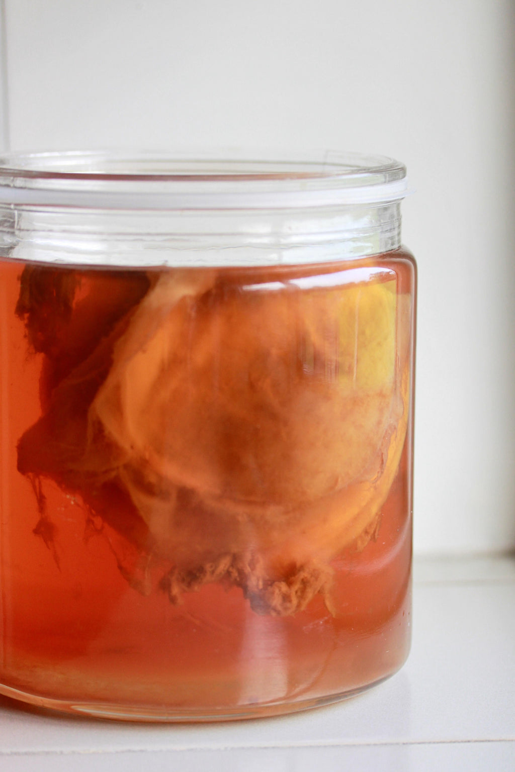 Qu'est-ce que le Starter du Kombucha ?